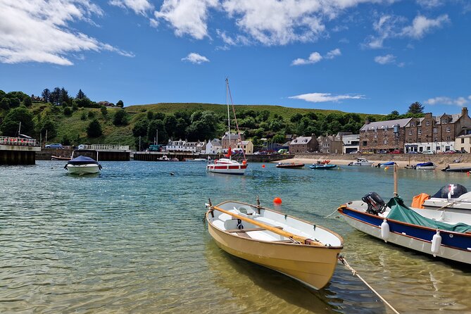 Dunnottar Castle and Coastal Heritage - Dolphins and sea views at Greyhope Bay