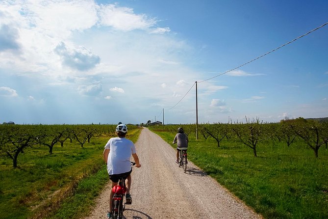 E-bike adventure among medieval castles and old villages - Key points at a glance
