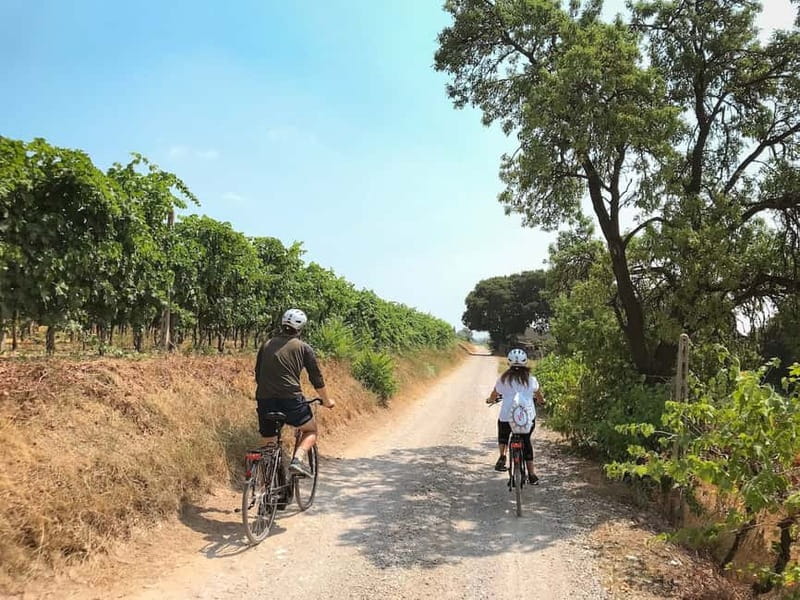 E-bike adventure among villages and medieval castles - Why this ride works so well from Verona