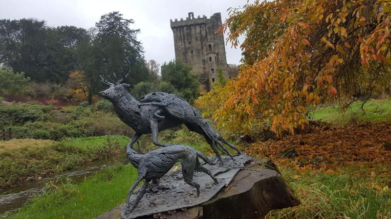 Easy Access - The Blarney Stone & Castle Gardens Tour - Time, value, and the queue question