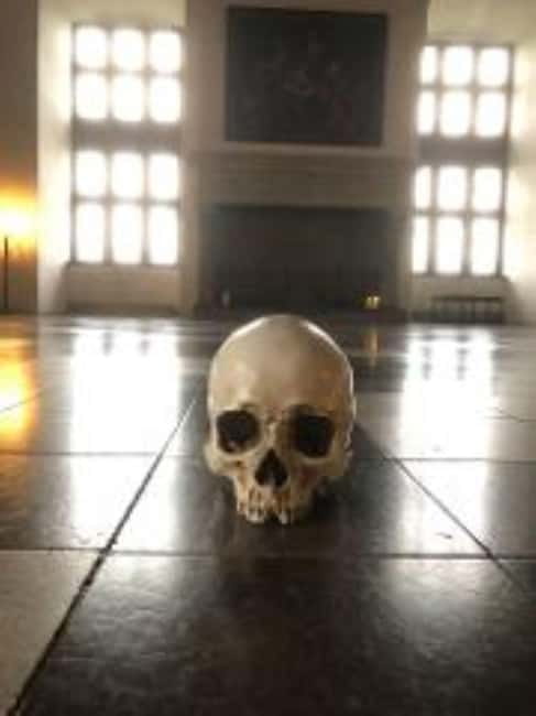 Easy Pace Tour of Kronborg Castle and Frederiksborg Palace - Two Castles, One Full Day From Copenhagen