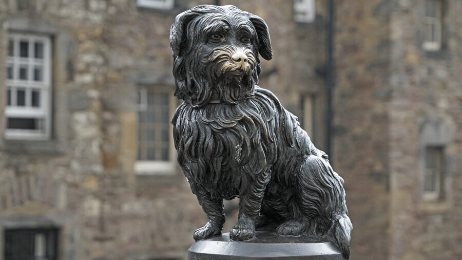 Edinburgh: Edinburgh Castle & Old Town Small Group Tour - The Royal Mile gives you Edinburgh’s backbone