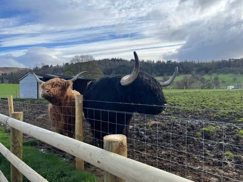 Edinburgh: Kelpies, Stirling Castle & Loch Lomond - Why this day trip works from Edinburgh