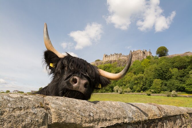Edinburgh: Loch Lomond, Stirling Castle and the Kelpies Day Tour - The Kelpies: a powerful 15-minute opening stop