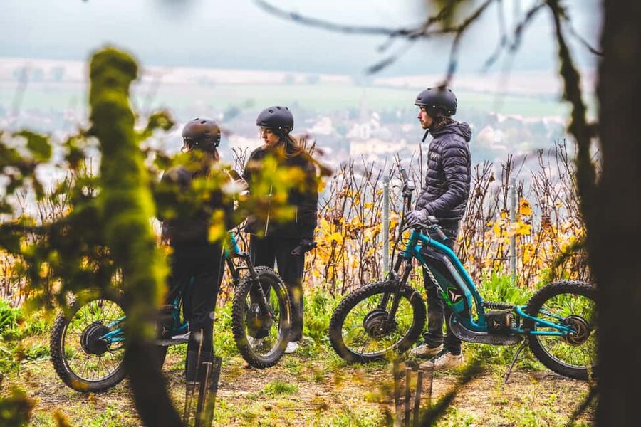 Electric scooter getaway and tasting at Château de Chamirey - A scooter route through Château de Chamirey’s vineyards