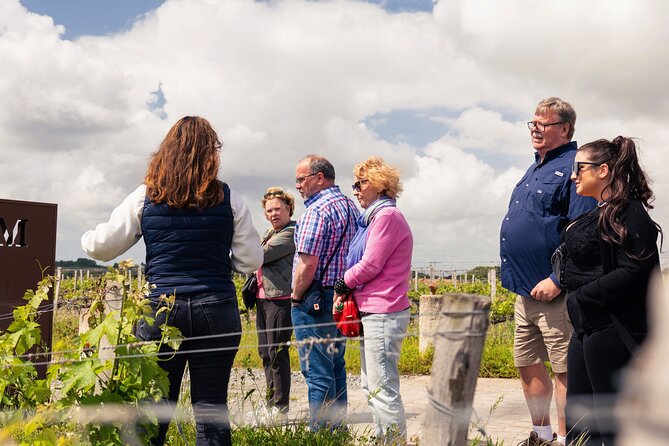Essential Wine Tour with Tasting & Chateau Visits from Bordeaux - Choosing between Médoc, Margaux, and Pessac-Léognan