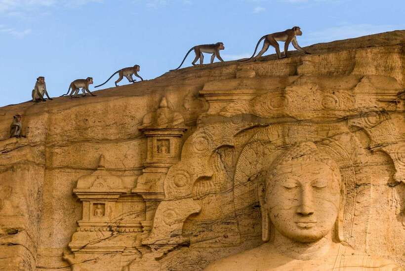 Exclusive: Sigiriya Fortress & Polonnaruwa Guided Tour - Key points to know before booking