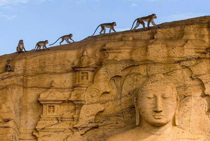 Exclusive: Sigiriya Fortress & Polonnaruwa Guided Tour - What the USD 70 price really covers