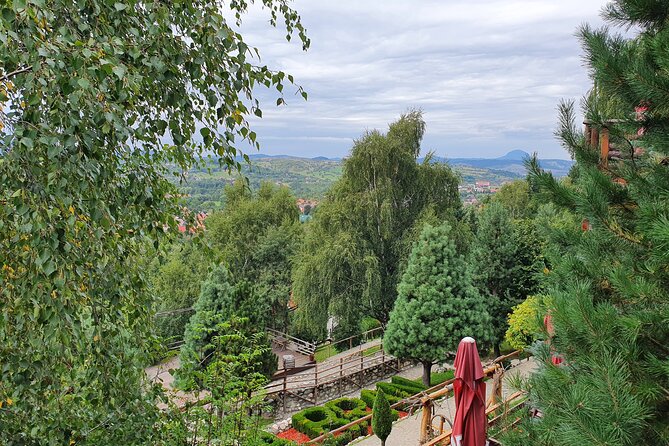 Executive Dracula Day Trip - See Bran & Peles Castle, Brasov from Bucharest - The long-day question