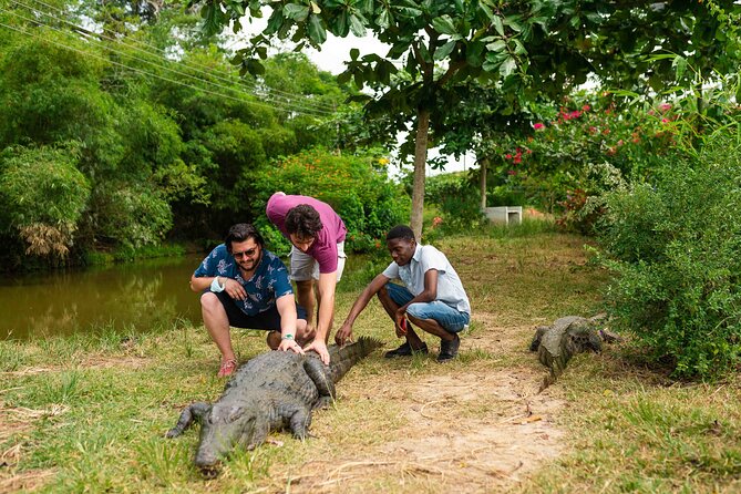Experience Cape Coast Castle and Kakum National Park - Why this Cape Coast day trip carries real weight