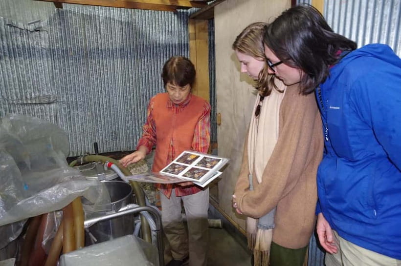 Explore Matsumoto: Castle, Sake & Taste of Local Life - Nawate Street and the pleasure of small snacks