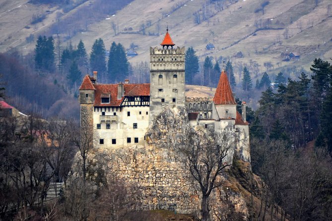 Explore Transylvania: Dracula, Peles Castle & Brasov Private Tour - From Bucharest to the Carpathian Mountains