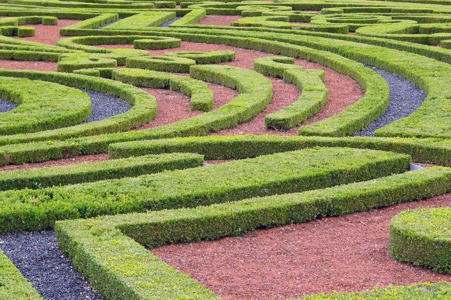 Fontainebleau & Vaux-le-Vicomte Châteaux Day Tour from Paris - Should you book the Fontainebleau and Vaux-le-Vicomte tour?