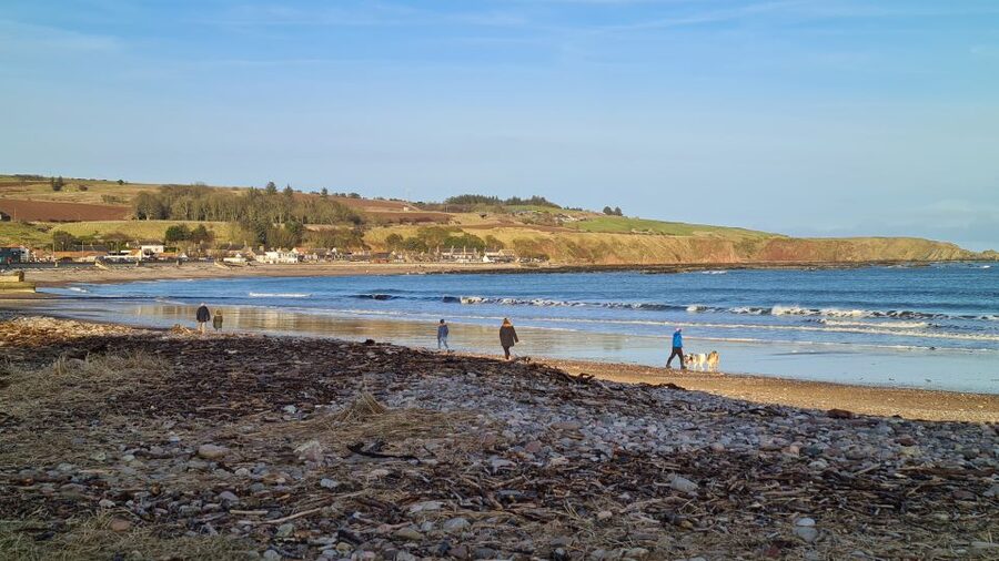 From Aberdeen: Guided Day Trip, Coast & Castle Visit - Gourdon and Scotland’s fishing coast