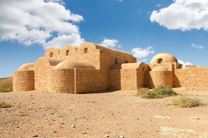 From Amman: Full-Day tour Amman city tour and desert castles - What the private vehicle adds