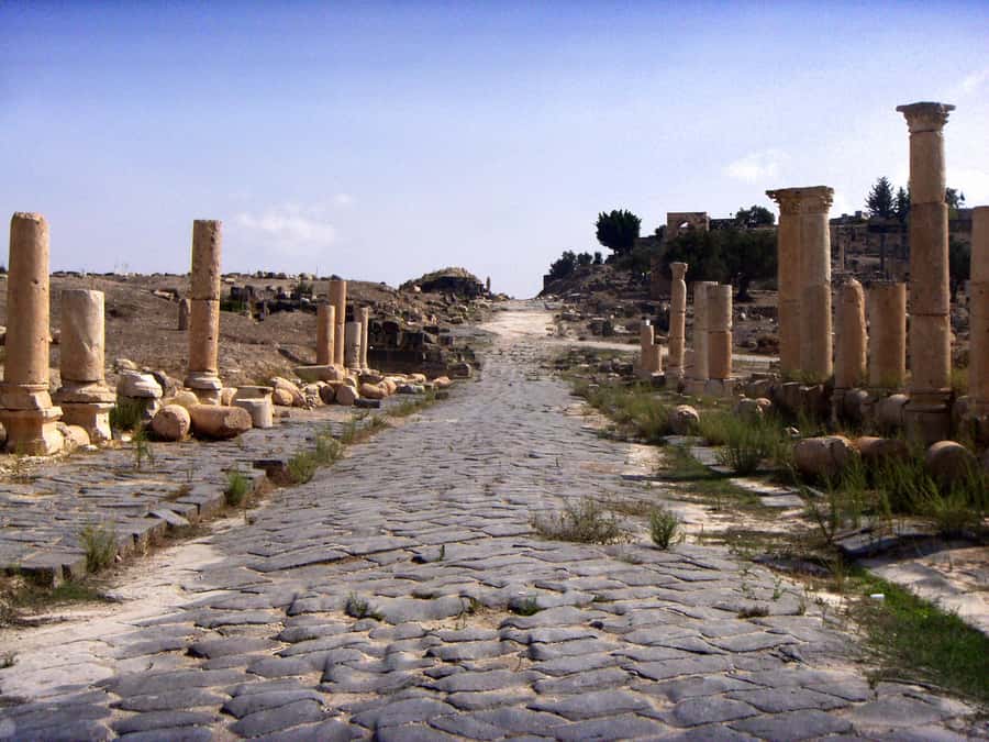 From Amman: Jerash, Ajloun Castle or Umm Qais Private Tour - Why Jerash is the heart of this northern Jordan day