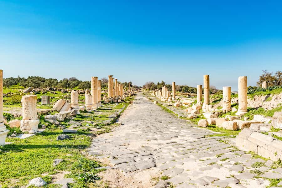 From Amman: Private Jerash, Ajloun Castle, and Umm Qais Tour - Umm Qais brings the widest views