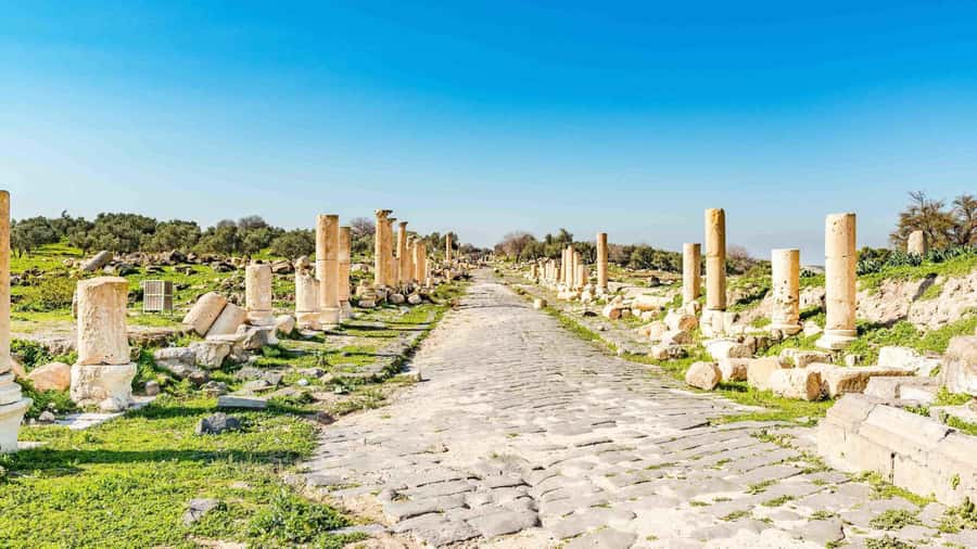 From Amman: Private Jerash, Ajloun Castle, and Umm Qais Tour - Private transport is the real convenience