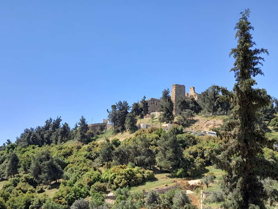 From Amman: Private Jerash, Ajloun Castle, and Umm Qais Tour - What to bring and how to prepare