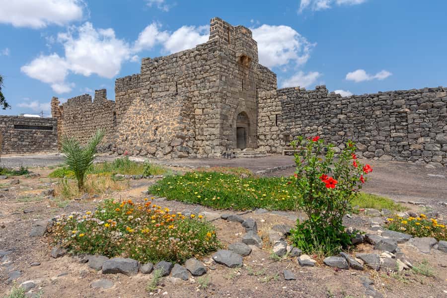 From Amman: Umayyad Desert Castles Tour with Transfer - Timing, comfort, and practical limits