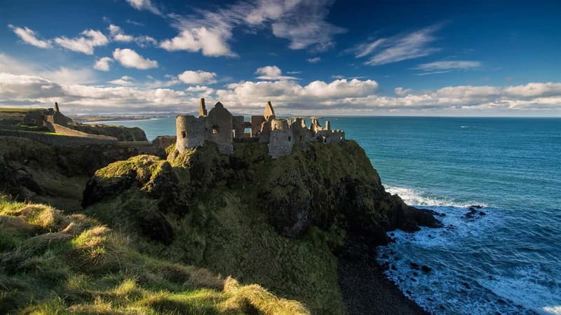 From Belfast: Giant's Causeway Guided Day Tour With Castles - Starting beside Belfast City Hall