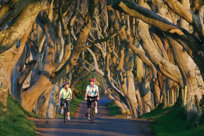From Belfast-Giants Causeway, Dunluce Castle and Dark Hedges tour - How good is the $69.45 value?