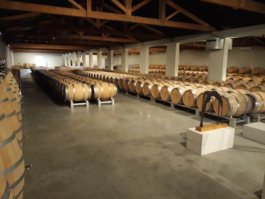 From Bordeaux: Médoc Vineyard and Chateau Tour by Sidecar - Comfort, safety, and weather on a motorcycle