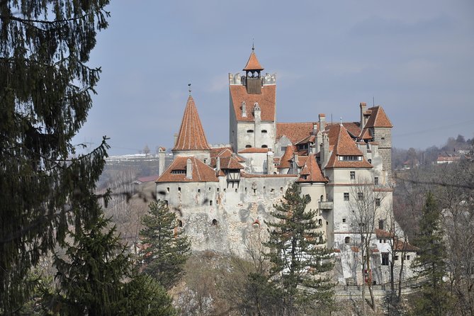 From Brasov: Discover Bran Castle and Rasnov Fortress - Bran Castle beyond the Dracula label