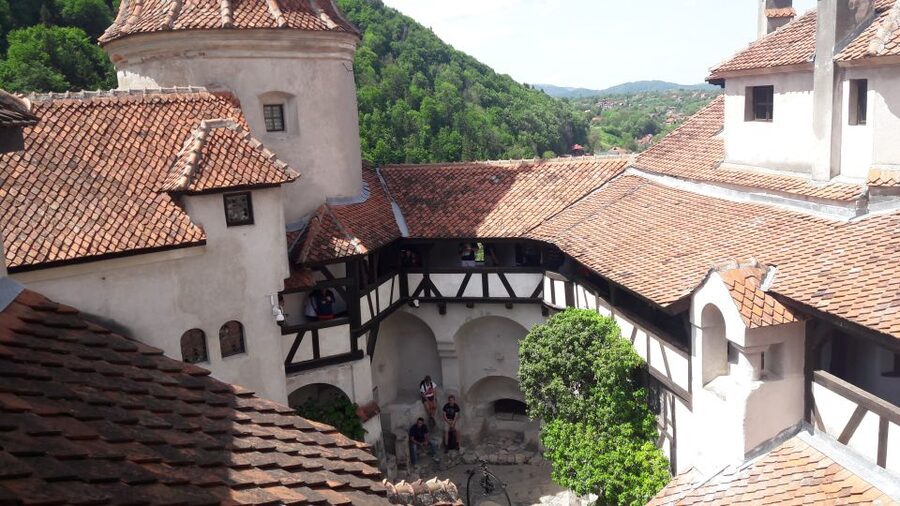 From Brasov: Peles Castle, Bran Castle & Cantacuzino Castle - Peleș Castle: the grand opening act