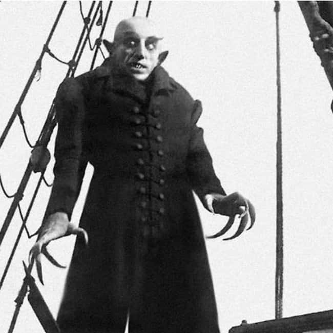 From Bratislava: Dracula Nosferatu - Orava Castle Day Tour - Is $230 a fair price?