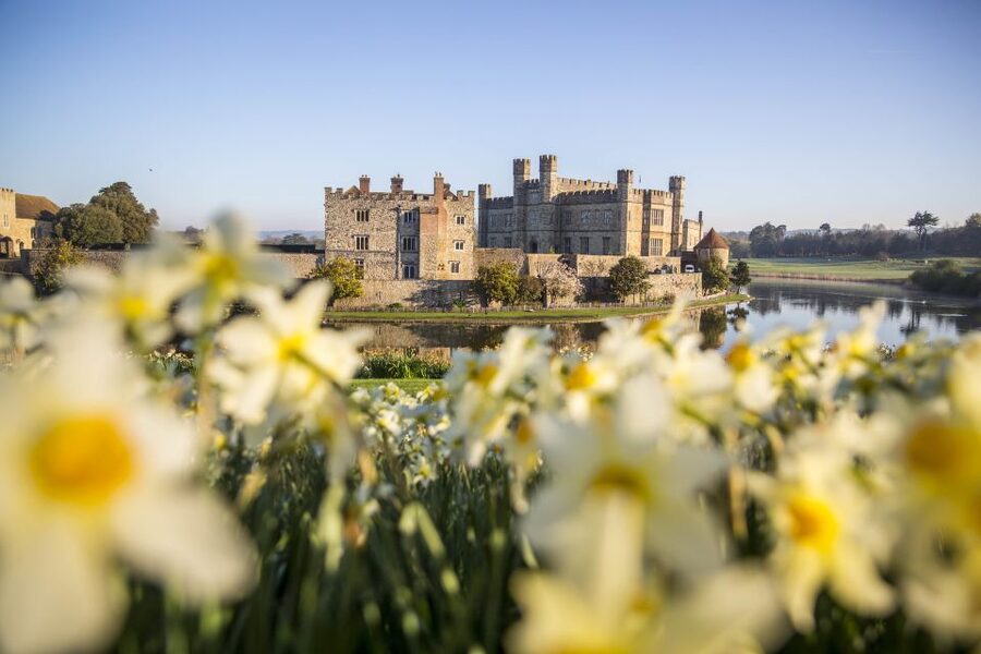 From Brighton: Leeds Castle & Canterbury Full-Day Trip - Key points to know before booking