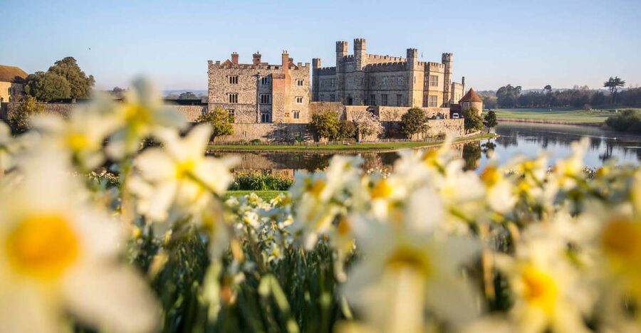 From Brighton: Leeds Castle & Canterbury Full-Day Trip - Canterbury Cathedral and your free time