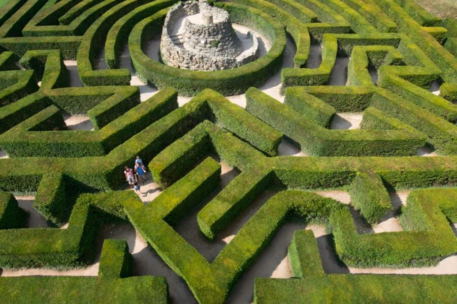 From Brighton: Leeds Castle & Canterbury Full-Day Trip - The pace, transport, and practical details