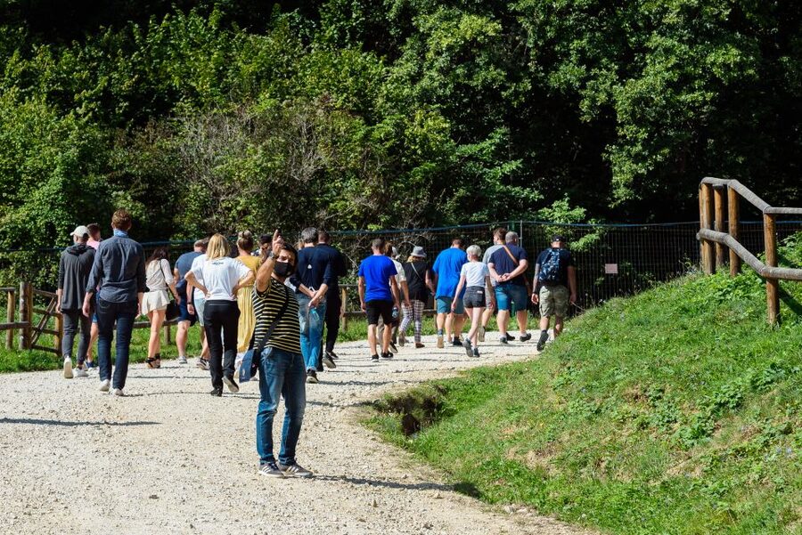 From Bucharest: Bear Sanctuary and Dracula Castle Day Tour - Key points worth knowing