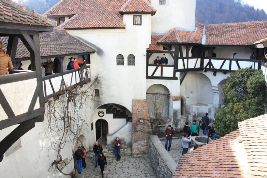 From Bucharest: Bear Sanctuary and Dracula Castle Day Tour - Who will get the most from this tour