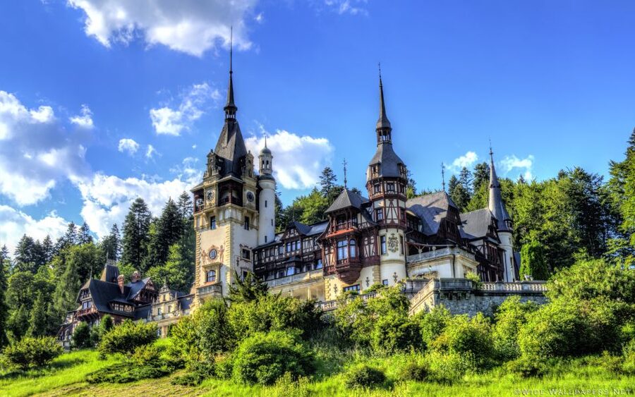 From Bucharest: Day Trip to Dracula and Peles Castle - Who should book this castle trip?