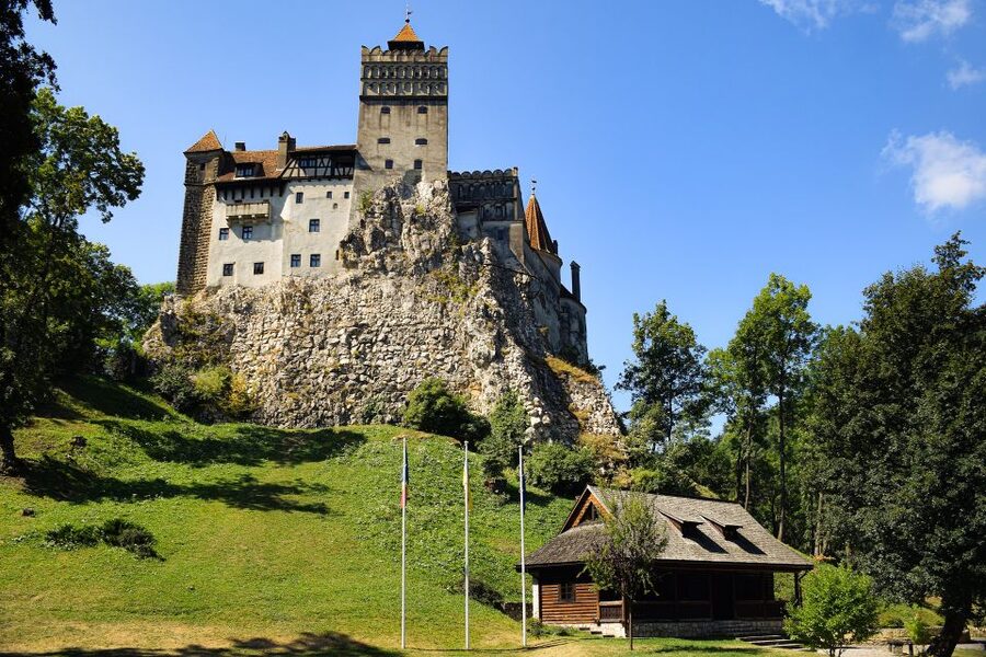 From Bucharest: Libearty Bear Sanctuary and Dracula's Castle - Why the bear sanctuary is the real heart of the day