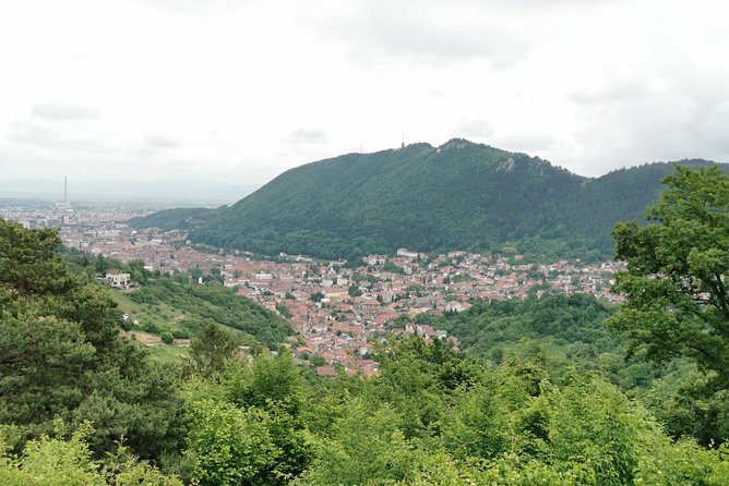 From Bucharest: Transylvania & Dracula's Castle tour in one day! - Seasonal Planning Can Change the Route