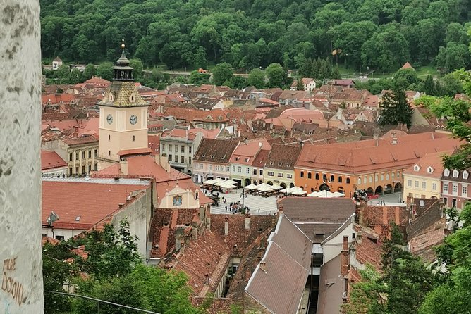 From Bucharest: Transylvania & Dracula's Castle tour in one day! - Who Should Book This Experience