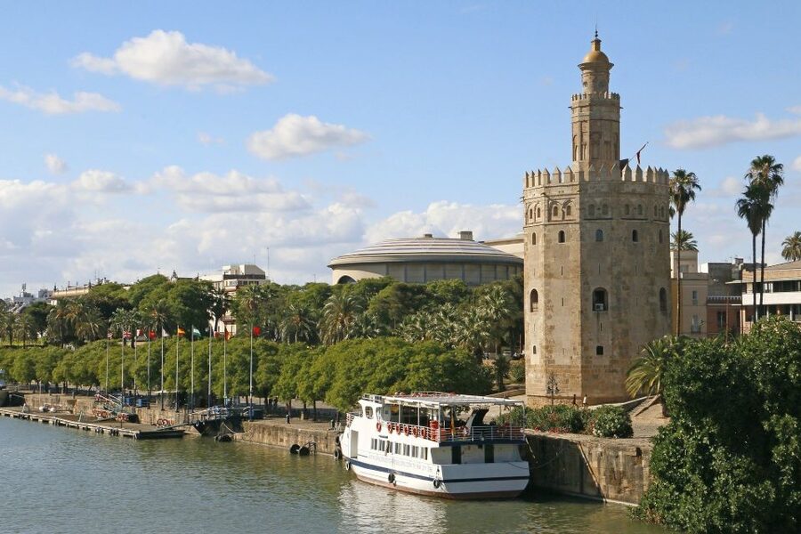 From Cadiz: Private Seville Day Trip, Cathedral & Alcazar - Looking up at the Giralda