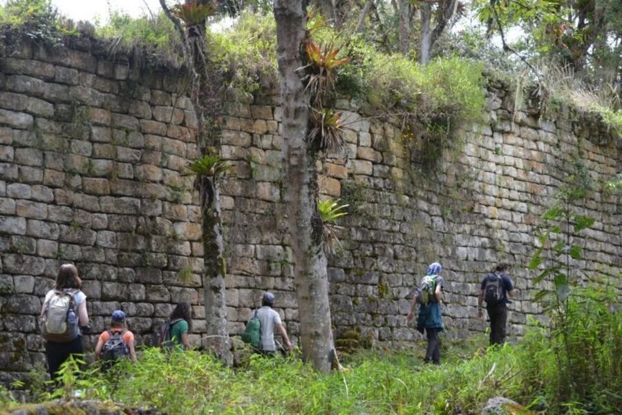 From Chachapoyas: Full-Day Tour to Kuelap Fortress - Who Should Choose This Kuelap Outing?