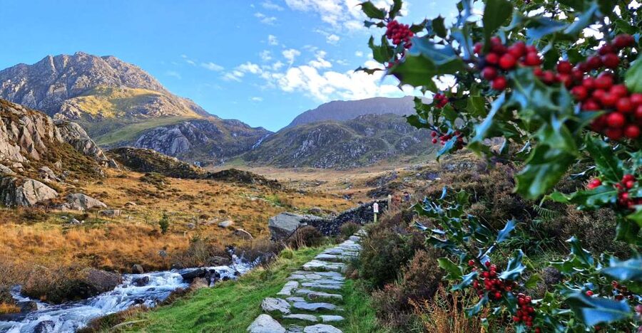 From Chester: North Wales and Caernarfon Castle Tour - Why this North Wales route works from Chester