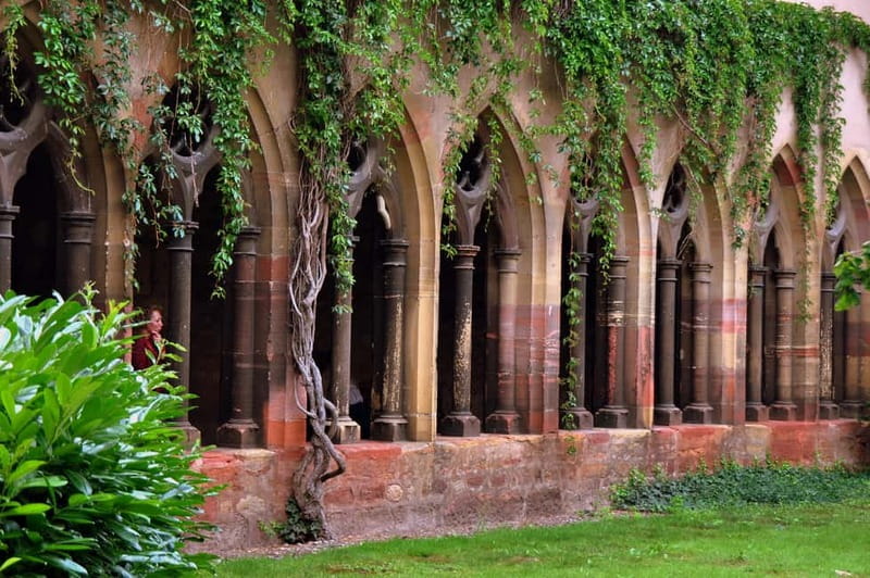From Colmar: Haut-Koenigsbourg Castle and Villages Day Tour - What to expect at the wine tasting