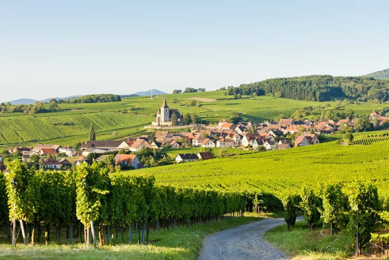 From Colmar: Haut-Koenigsbourg Castle and Villages Day Tour - Eguisheim and its circular village streets