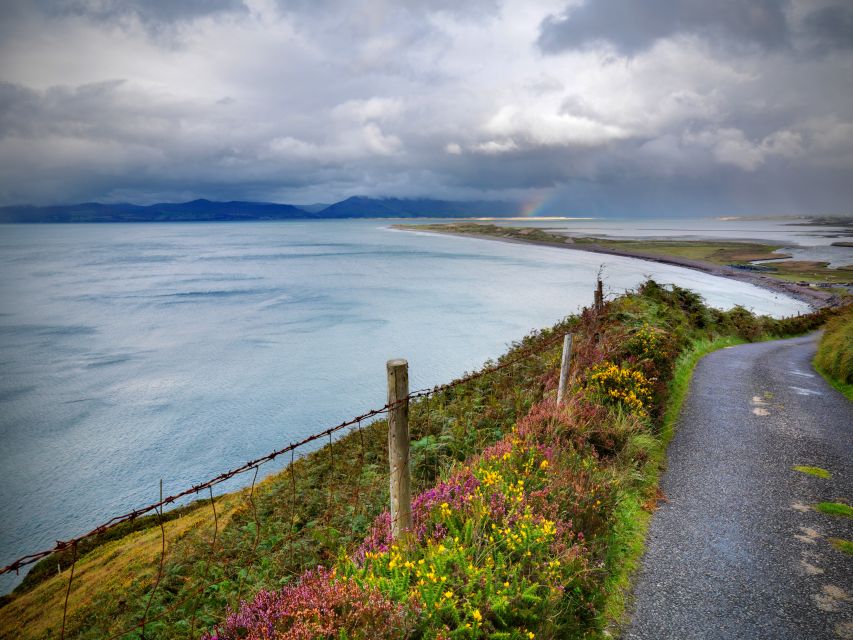 From Dublin: 2-Day Cork, Blarney Castle & Ring of Kerry Tour - The Ring of Kerry from Killarney