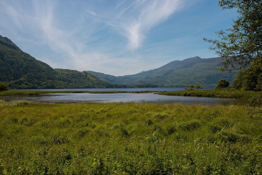 From Dublin: 2-Day Cork, Blarney Castle & Ring of Kerry Tour - The pace, group size, and guide support