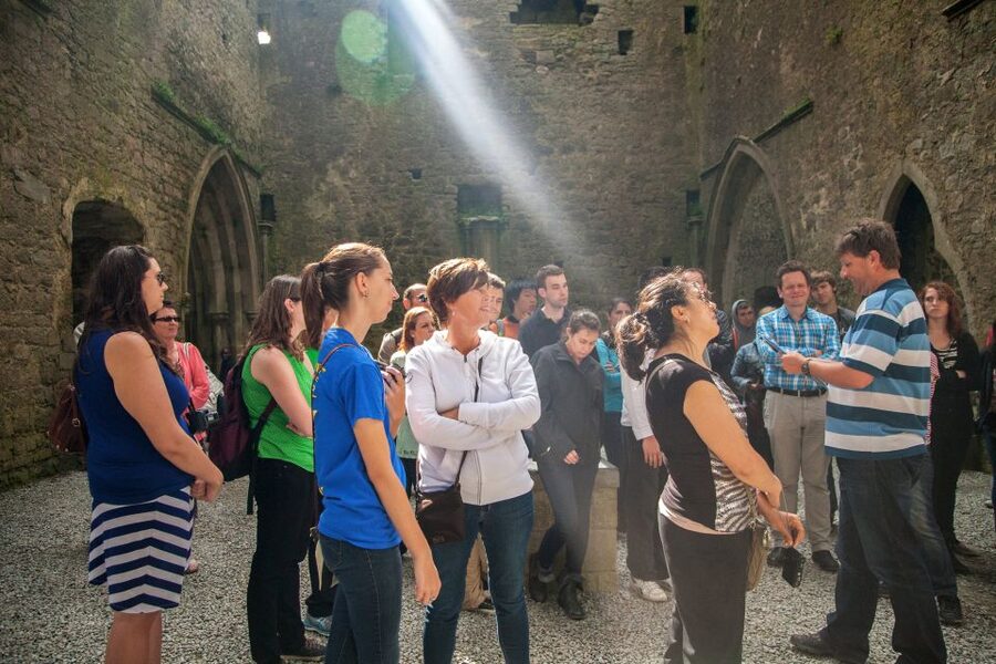 From Dublin: Blarney, Rock of Cashel and Cahir Castles Tour - Who should book this tour?
