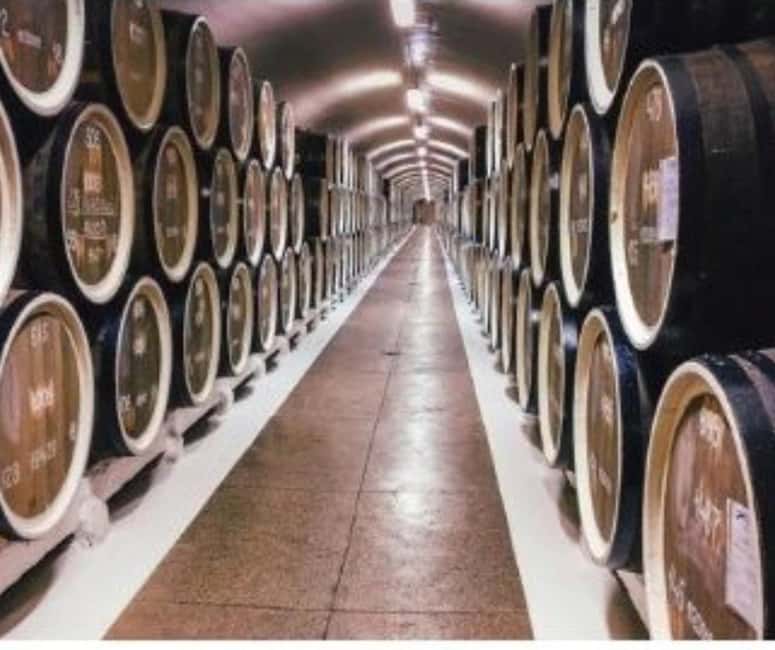 From Durres Golem: Cape of Rodon Castle & Wine Tasting Tour - A public beach and time in the water