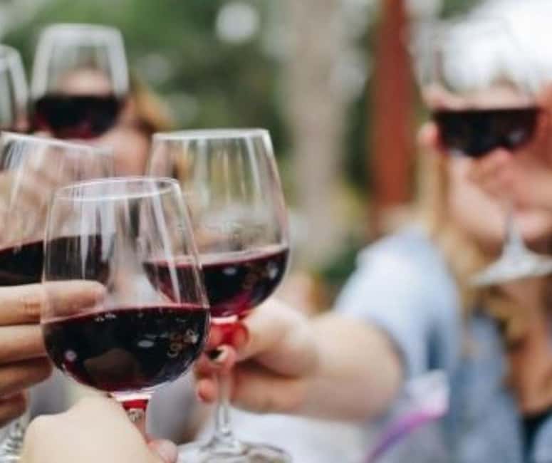 From Durres Golem: Cape of Rodon Castle & Wine Tasting Tour - What the $176 price really covers