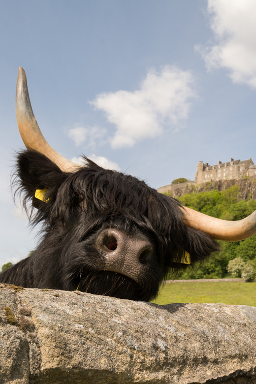 From Edinburgh: Loch Lomond, Stirling Castle & Kelpies Tour - What this Edinburgh day trip is really trying to do